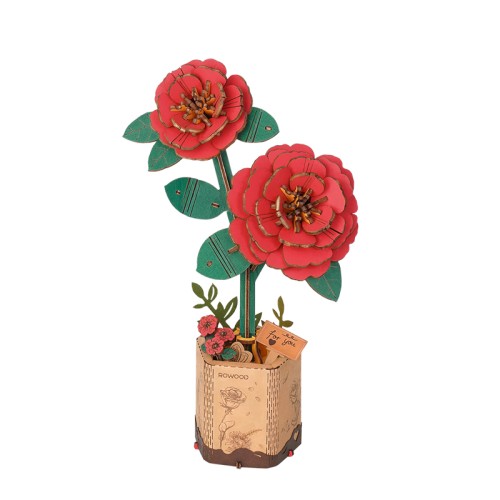 Red Camellia TW031