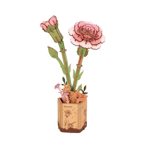 Pink Carnation