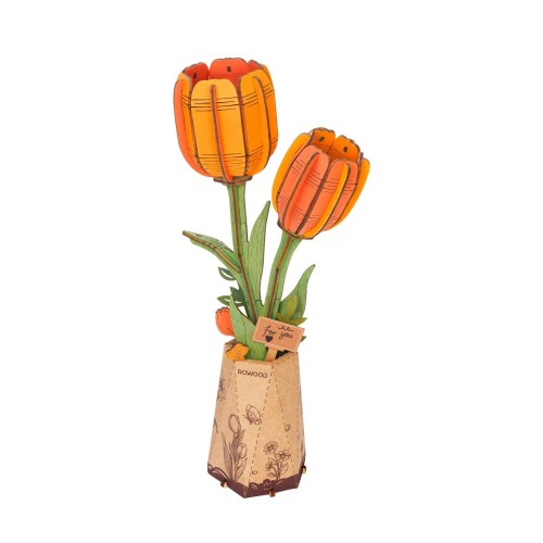 Orange Tulip